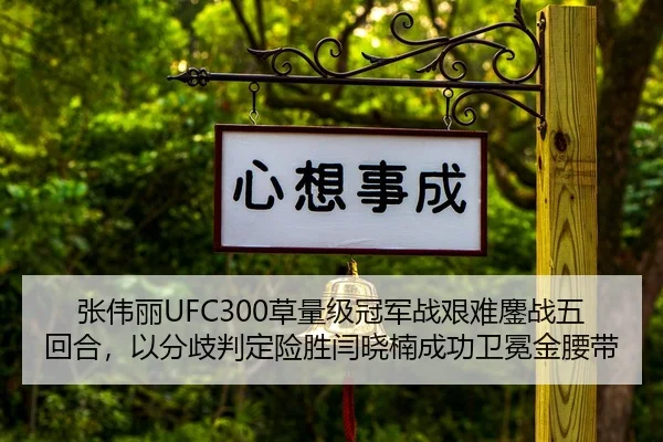 zhang-wei-li-cao-liang-ji-guan-jun-zhan-jian-nan-ao-zhan-wu-hui-he-yi-fen-qi-pan-ding-xian-sheng-yan-xiao-nan-cheng-2-830.jpg